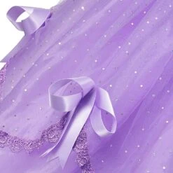 Robe Princesse Sofia -Princesse Magique Cosplay Boutique Costume princesse sofia 1