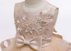 Robe Princesse Beige -Princesse Magique Cosplay Boutique H009f61caf2414ebab549270299de5ebbZ 1