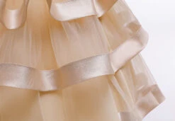 Robe Princesse Beige -Princesse Magique Cosplay Boutique H353dec9623134f3bb5a9bb88e56d5725m 1