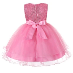 Robe Princesse Rose 5 Robe Princesse Rose -Princesse Magique Cosplay Boutique HTB17Q5IaJjvK1RjSspiq6AEqXXas 1