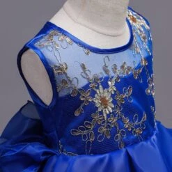 Robe De Princesse Vernie -Princesse Magique Cosplay Boutique HTB1kQc fBUSMeJjy1zjq6A0dXXam 1