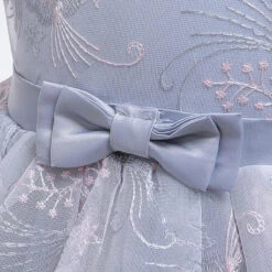 Robe Princesse Grise -Princesse Magique Cosplay Boutique Hee64e12694164ed689fb046b118c61c2t 1