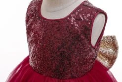Robe Bordeaux Bébé Fille -Princesse Magique Cosplay Boutique Hef1f9606ef6147debadbb536fba3bab7M 1