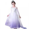 Robe Princesse Elsa Reine Des Neiges 2