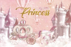 Toile De Fond Anniversaire Princesse 6 Toile De Fond Anniversaire Princesse -Princesse Magique Cosplay Boutique affiche anniversaire princesse