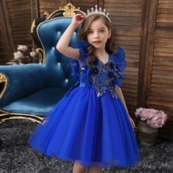 Robe Princesse Bleu Foncé -Princesse Magique Cosplay Boutique deguisement bleu fonce