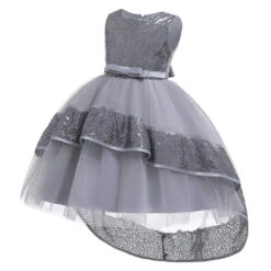 Robe Princesse Argentée 5 Robe Princesse Argentée -Princesse Magique Cosplay Boutique deguisement princesse argentee