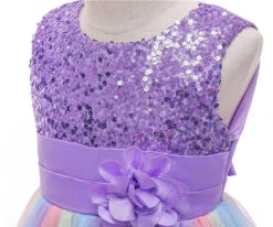 Robe Princesse Fille Anniversaire -Princesse Magique Cosplay Boutique robe annivairsaire fille 1