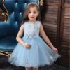 Robe Bleu Princesse Tulle