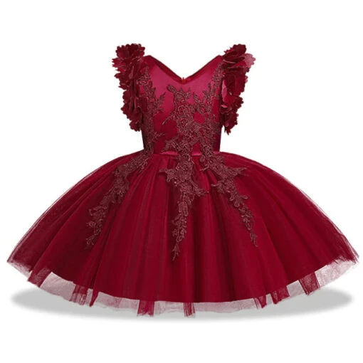 Robe De Princesse Brodée