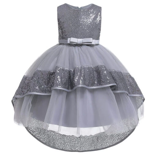 Robe Princesse Argentée