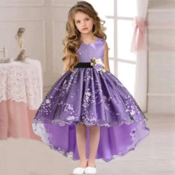 Robe Princesse Vintage