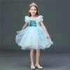 Robe Style Princesse Fille