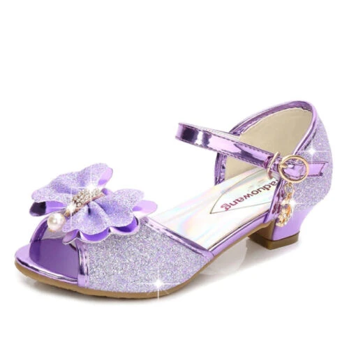 Souliers De Princesse Déguisement